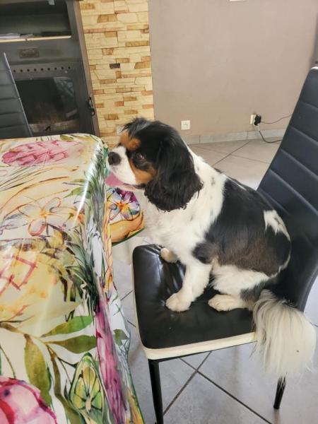Foto del alojamiento