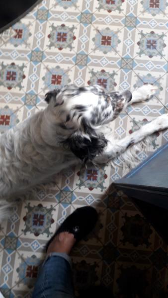 Foto del alojamiento