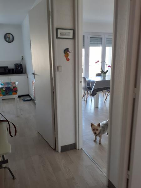 Foto del alojamiento