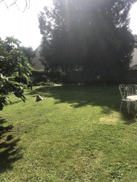 Foto del alojamiento