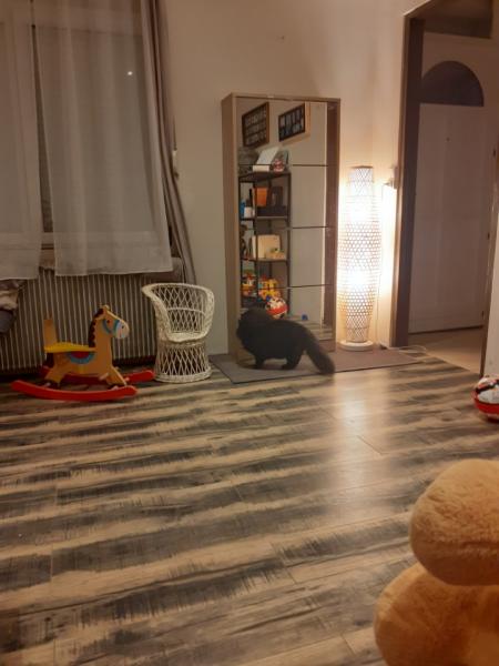 Foto del alojamiento