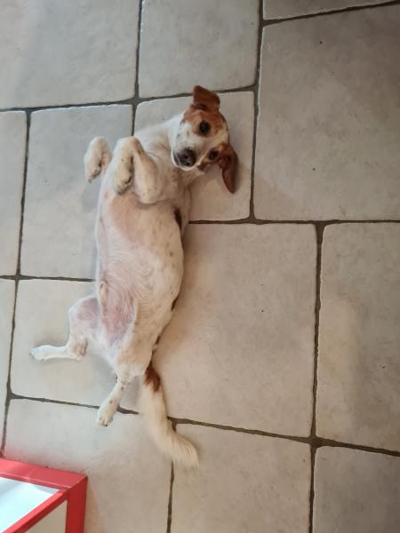 Foto del alojamiento