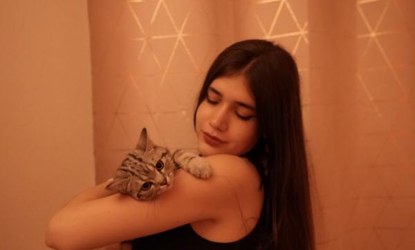 Foto del alojamiento