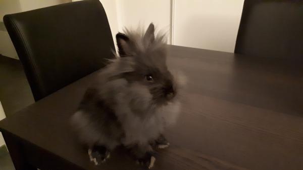 Foto del alojamiento