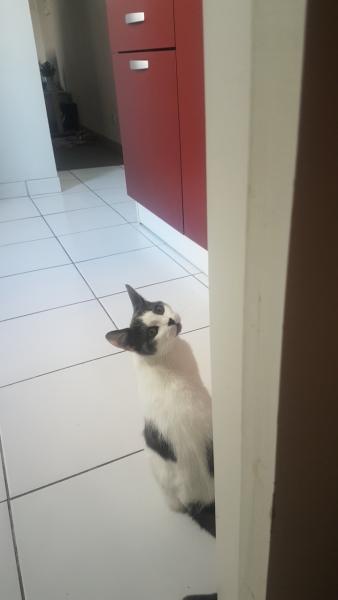 Foto del alojamiento