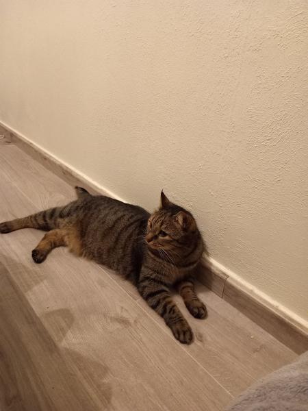 Foto del alojamiento