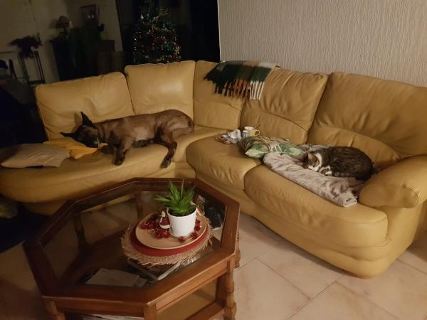 Foto del alojamiento