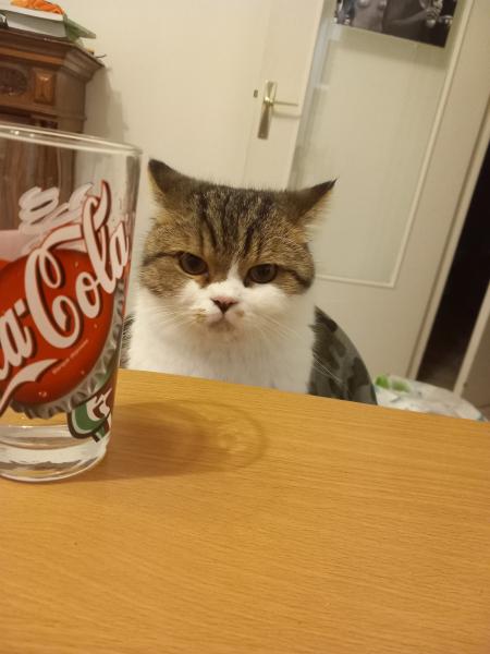 Foto del alojamiento