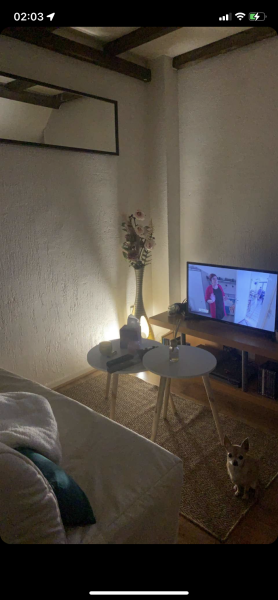 Foto del alojamiento