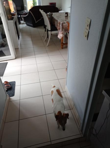 Foto del alojamiento