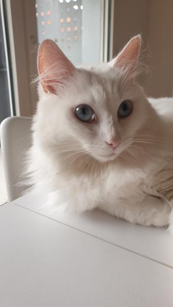 Foto del alojamiento