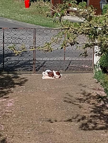 Foto del alojamiento
