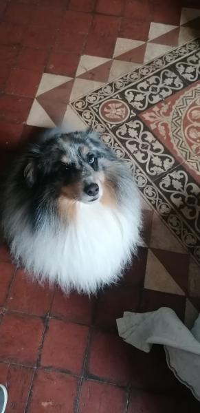 Foto del alojamiento