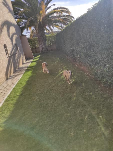 Foto del alojamiento