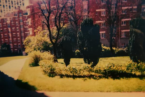 Foto del alojamiento