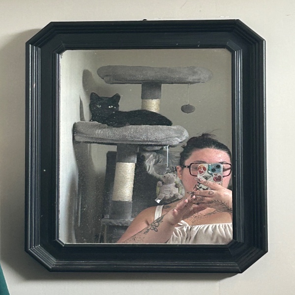 Foto del alojamiento