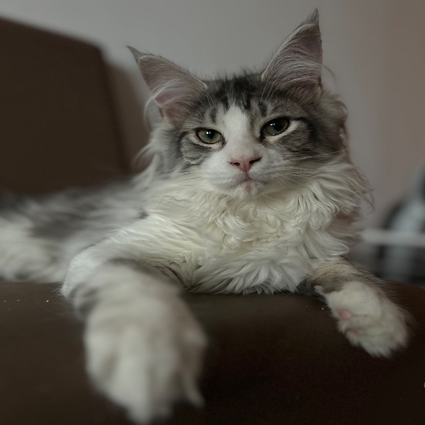 Foto del alojamiento