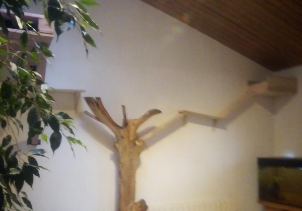 Foto del alojamiento