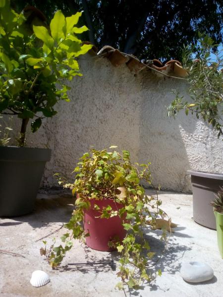 Foto del alojamiento