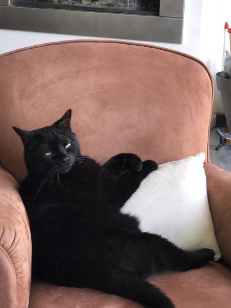 Foto del alojamiento