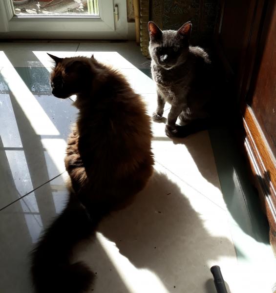 Foto del alojamiento