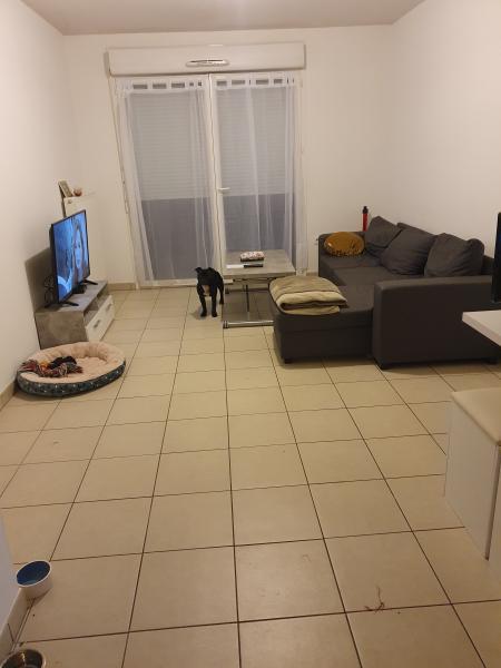 Foto del alojamiento