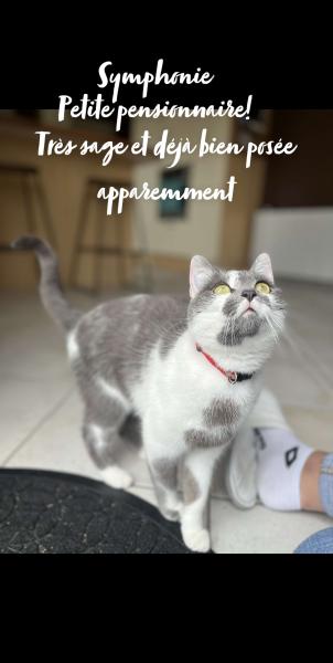 Foto del alojamiento