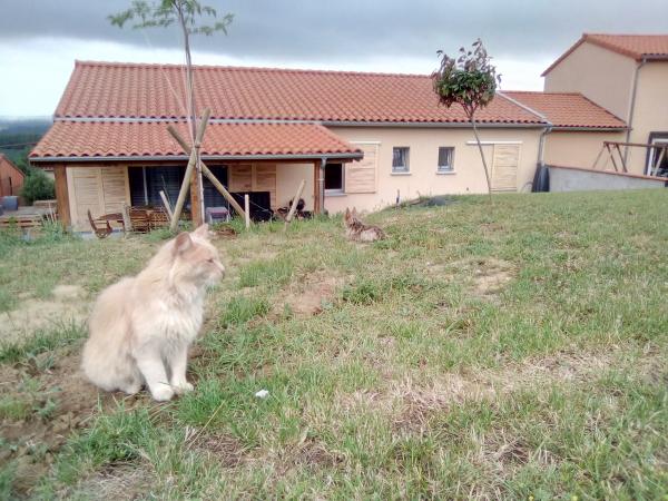 Foto del alojamiento