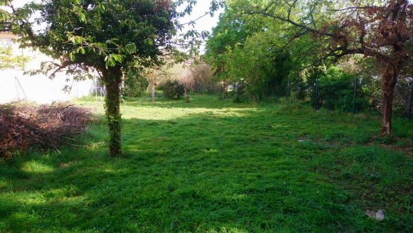 Foto del alojamiento