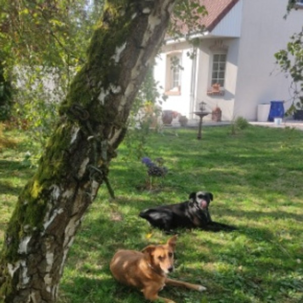 Foto del alojamiento