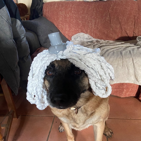 Foto del alojamiento