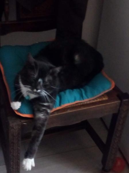 Foto del alojamiento
