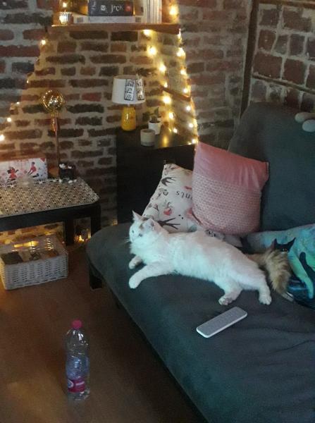 Foto del alojamiento