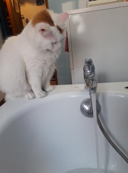 Foto del alojamiento