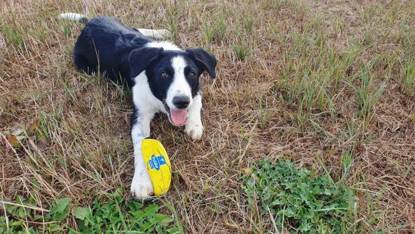 Foto del alojamiento
