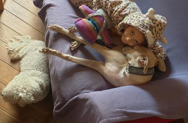 Foto del alojamiento