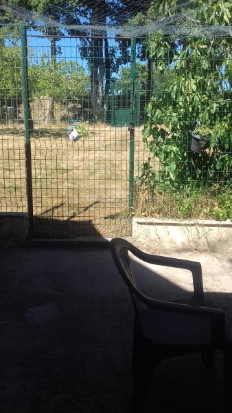 Foto del alojamiento