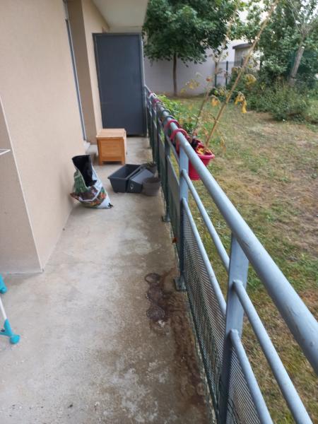 Foto del alojamiento