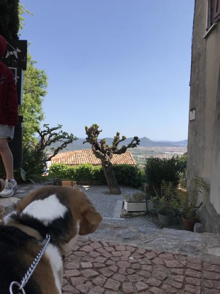 Foto del alojamiento