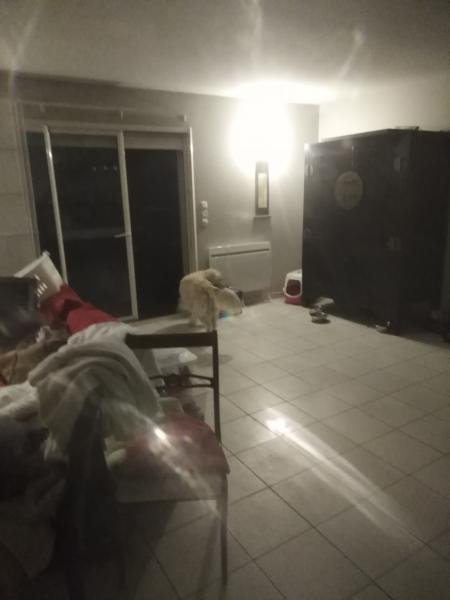 Foto del alojamiento