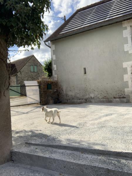 Foto del alojamiento