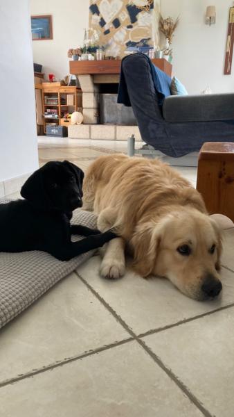 Foto del alojamiento