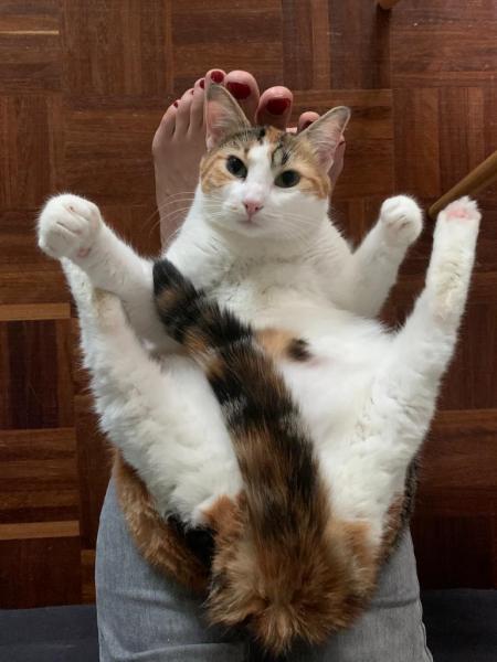 Foto del alojamiento