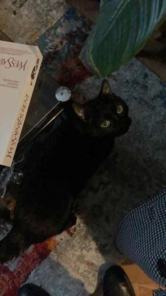 Foto del alojamiento