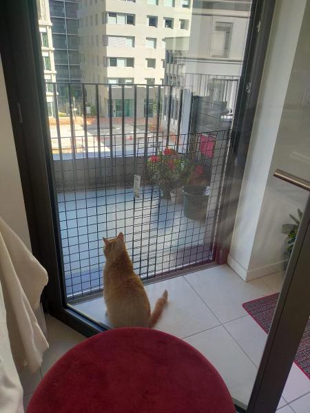Foto del alojamiento