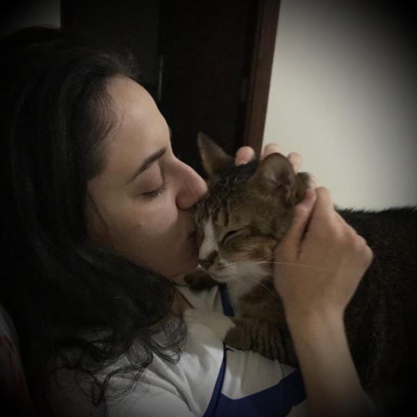 Foto del alojamiento