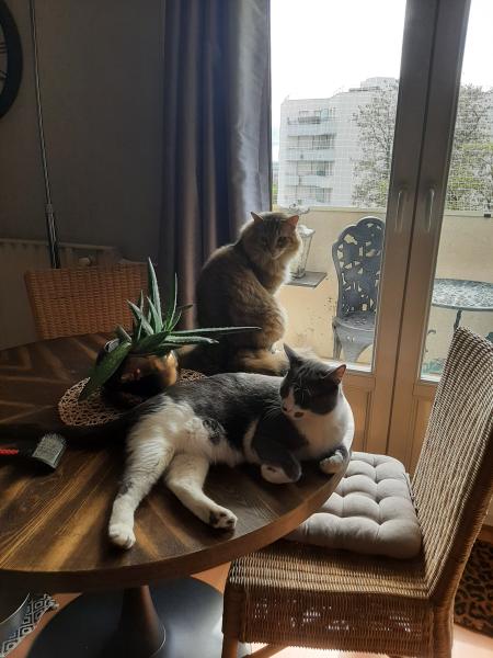 Foto del alojamiento