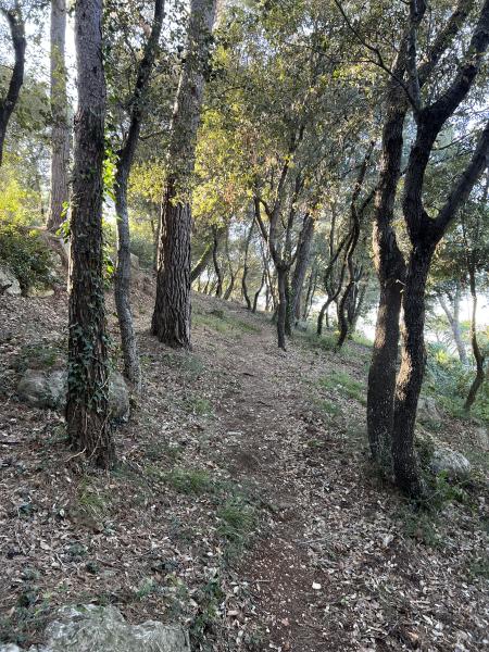 Foto del alojamiento