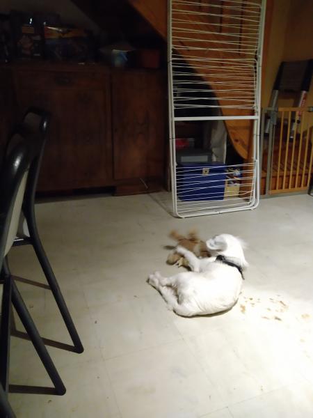 Foto del alojamiento