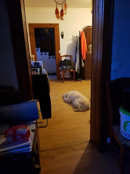 Foto del alojamiento